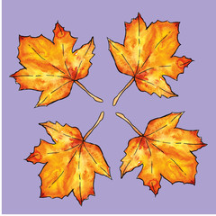 autumn leaves. cute pattern of beautiful prints of leaves painted watercolor by hand.