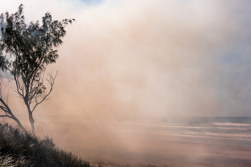 Australia bushfires in summer fire season - obrazy, fototapety, plakaty