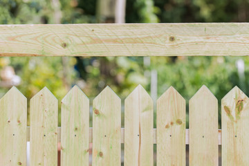 Fototapeta premium Spring grass and wooden fence in the garden