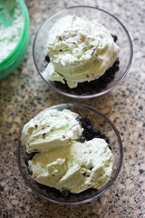 Mint and chocolate ice with fresh blueberries 