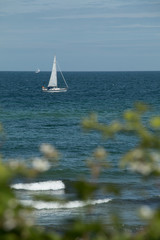 sailing in the sea, picture taken from she shore