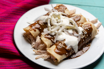 Mexican chicken enchiladas with mole sauce on turquoise background