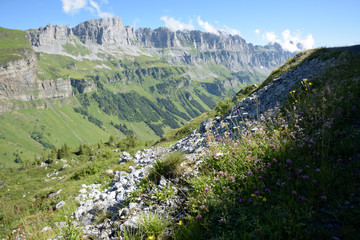 Fototapeta na wymiar vallée de montagne Suisse en été
