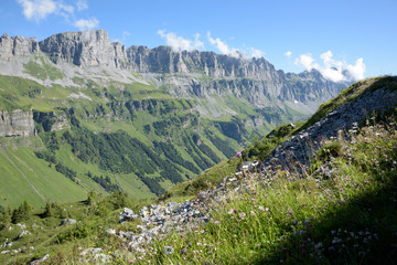 Fototapeta na wymiar vue sur la montagne en été - Suisse