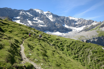 Fototapeta na wymiar chemin de marche et randonneurs - Alpes Suisse