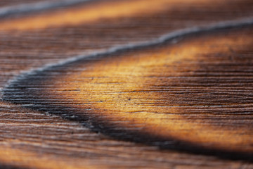 Wood texture, macro wood structure
