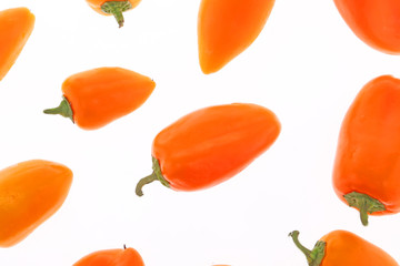 lovely sweet mini peppers Hydroponic on white background