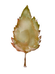 Autumn leaf. Hand drawn watercolor fall yellow and orange color leaf. Isolated on white background. Clipart. Autumn fall.