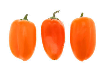 lovely sweet mini peppers Hydroponic on white background