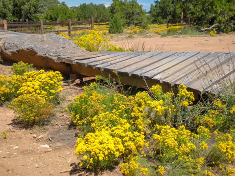 Wood Plank Mountain Bike Track in Park with Yellow Fall Wildflowers