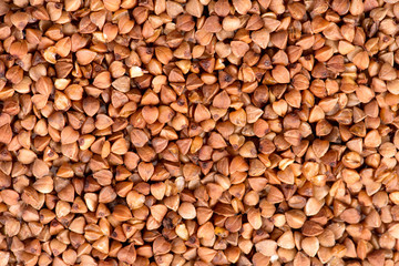 fresh buckwheat. dry buckwheat background. buckwheat texture. brown buckwheat is scattered on the surface