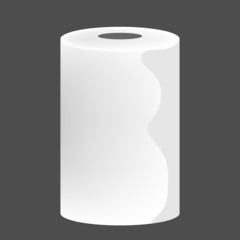 toilet paper on white background