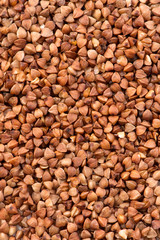 fresh buckwheat. dry buckwheat background. buckwheat texture. brown buckwheat is scattered on the surface