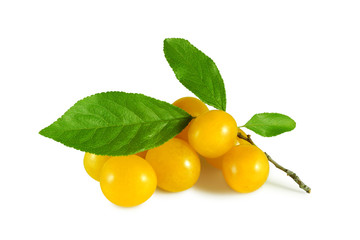 Yellow cherry plum with leaves isolated on white background