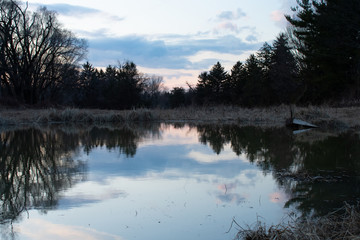 A Pond Reflecting the Surrounding Forest and Sky