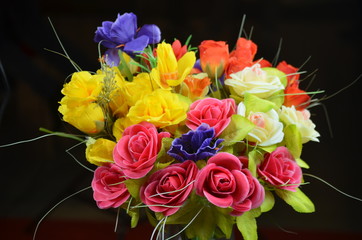 Il Colore dei Fiori