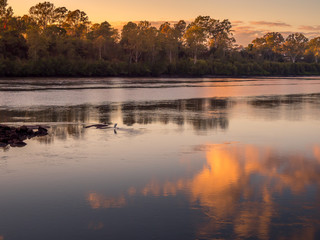 Beautiful Riverside Sunrise with Bird on Rock in the River