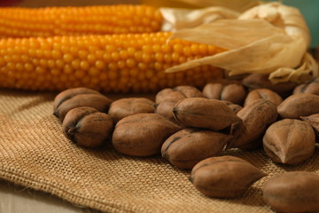 秋の味覚　クルミ