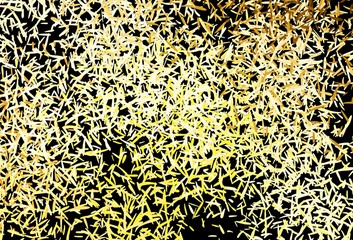 Dark Yellow vector layout with flat lines.