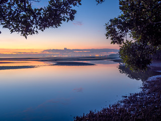 Dawn with Port of Brisbane Framed by Mangroves