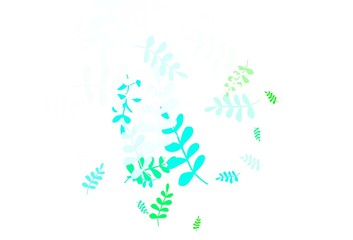 Light Blue, Green vector elegant pattern with leaves.