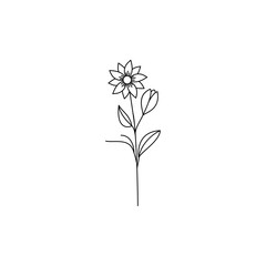 Beautiful  flower. Line art concept design. Continuous line