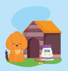 pet shop, dog sitting with collar food and house animal domestic cartoon