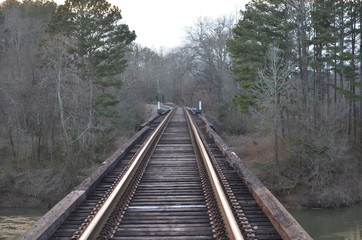 Fototapeta premium railway in the woods