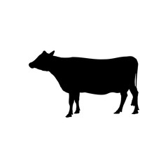 Fototapeta premium cow icon vector