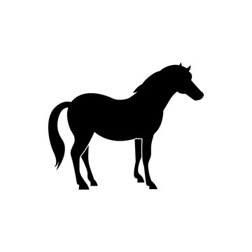 horse icon vector sign symbol