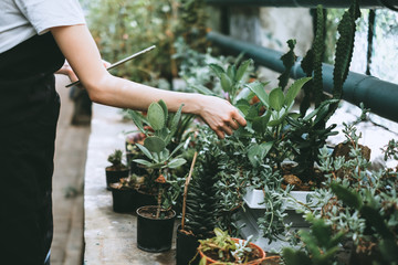 Young woman gardener with digital tablet working in a garden center for better quality control. Environmentalist using digital tablet in greenhouse.
