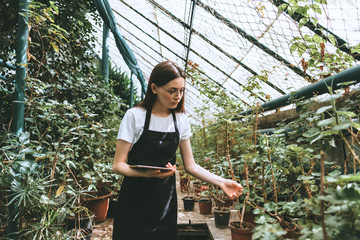 Young woman gardener in glasses and apron with digital tablet working in a garden center for better quality control. Environmentalist using digital tablet in greenhouse.