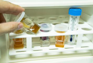 Close up of vet making vaccine to dog at clinic.