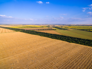 Aerial view to golden field with roll bales of wheat straw