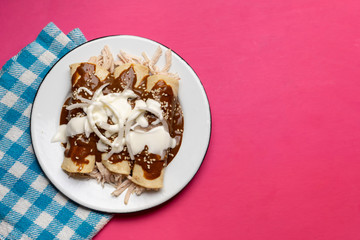 Mexican chicken enchiladas with mole sauce on pink background