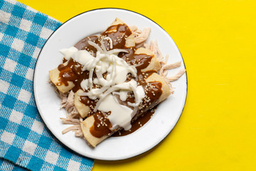 Mexican chicken enchiladas with mole sauce on yellow background