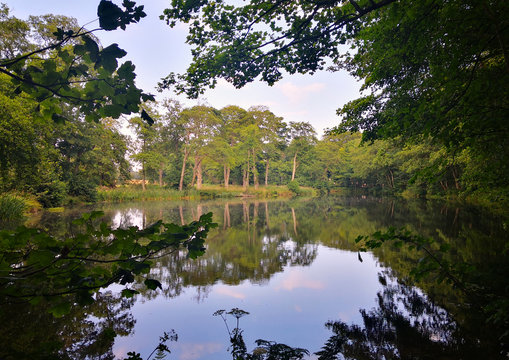 Pitfour Lake in Mintlaw on a sunny summer day.
