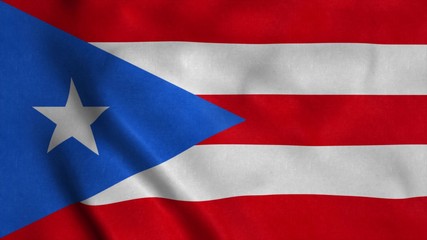 Puerto Rico flag waving in the wind. 3d illustration