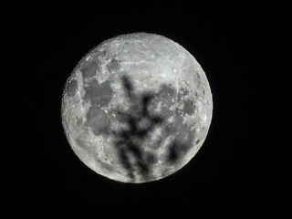 Fototapeta premium Luna 
