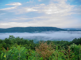 Naklejka na ściany i meble fog in the valley below a scenic overlook along the skyway motorway in the talladega national forest, alabama, usa