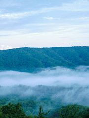 fog in the valley below a scenic overlook along the skyway motorway in the talladega national forest, alabama, usa