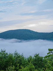 fog in the valley below a scenic overlook along the skyway motorway in the talladega national forest, alabama, usa