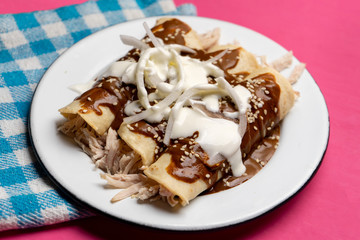 Mexican chicken enchiladas with mole sauce on pink background