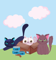pet shop, cat in cardboard box and kittens with food in the grass cartoon