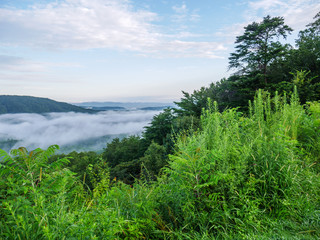Fototapeta na wymiar fog in the valley below a scenic overlook along the skyway motorway in the talladega national forest, alabama, usa