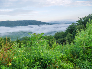 Obraz premium fog in the valley below a scenic overlook along the skyway motorway in the talladega national forest, alabama, usa