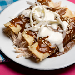 Mexican chicken enchiladas with mole sauce on pink background
