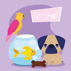 pet shop, little puppy bird fish and cookie animal domestic cartoon