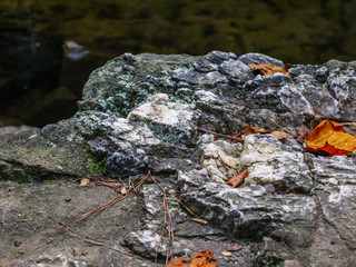 dried leaves on rocks along high falls trail in the talladega national forest, alabama, usa