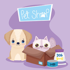 pet shop, little dog and cat in box with food animal domestic cartoon
